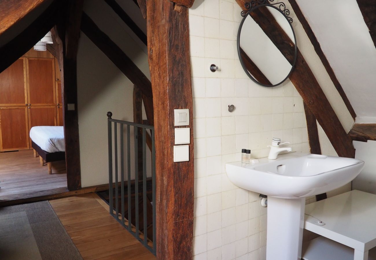 Appartement à Paris - Rue du Bourg Tibourg - Paris 4 - 204009