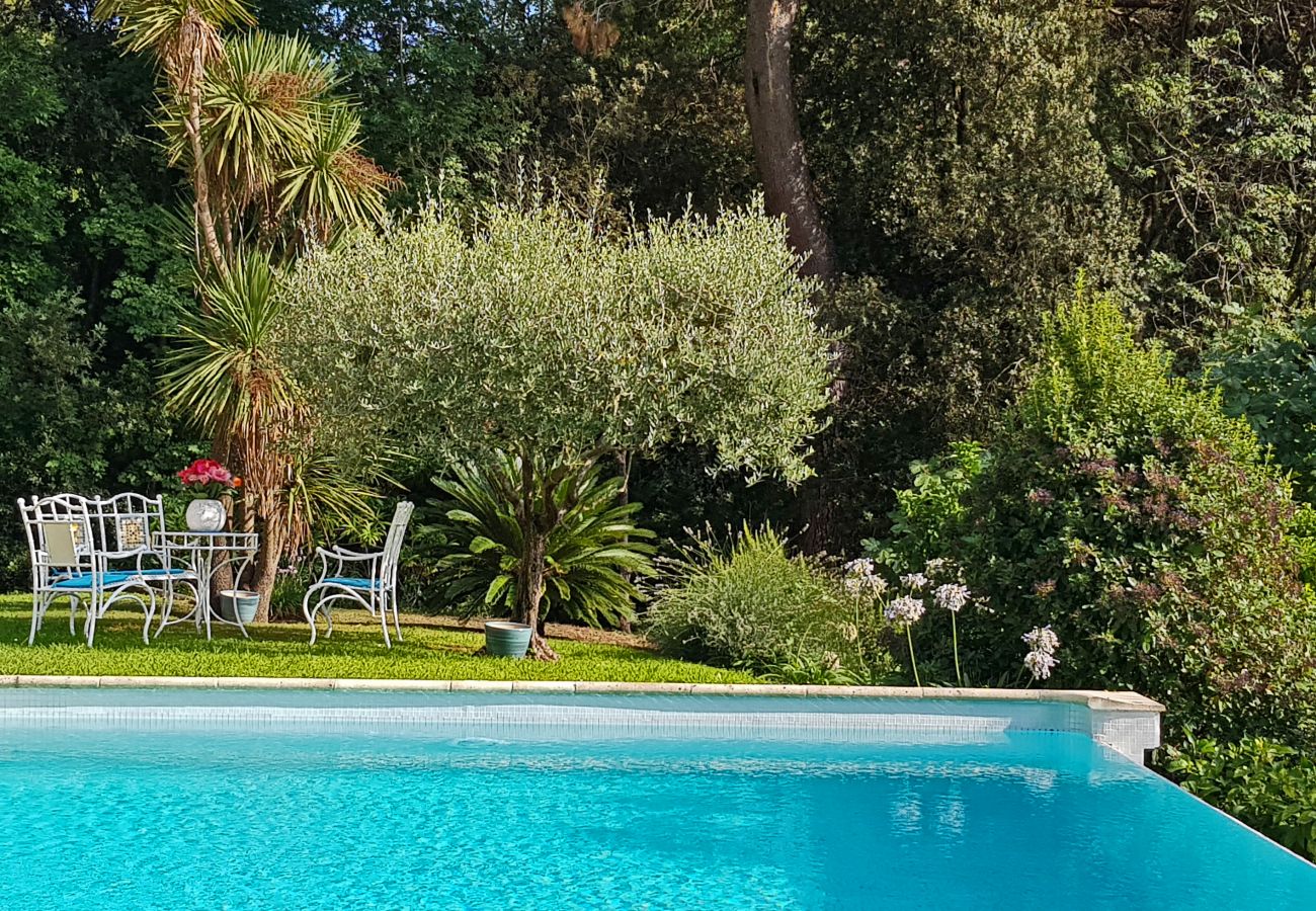 Jardin