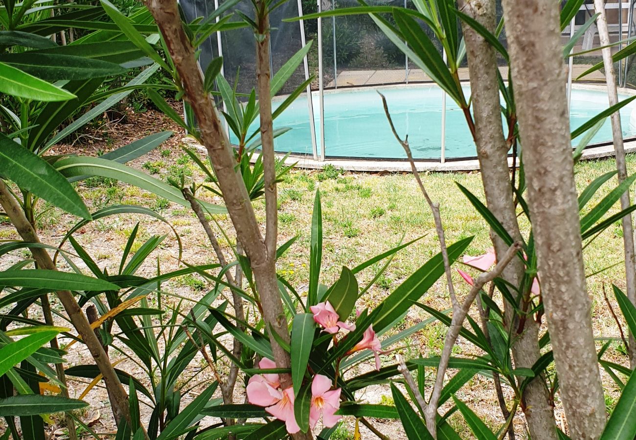 Villa à Saint-Saturnin-lès-Avignon - RDL4P8V05 - Villa 8 personnes