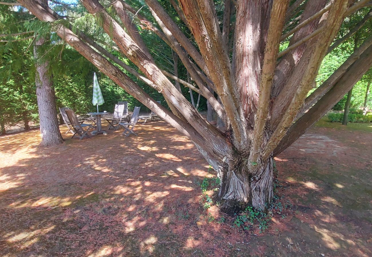 Villa à Rognes - VILLA TESSA 14 personnes - ROGNES PROCHE AIX EN PR